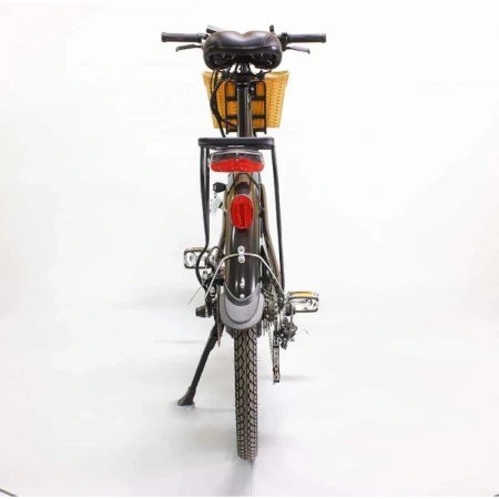 Электровелосипед GreenCamel Бриз (R26 350W 36V 10Ah)