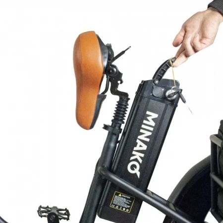 Электровелосипед Minako Trike