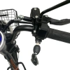 Электровелосипед GreenCamel Pangeon Monster PRO (гидравлика) 2025