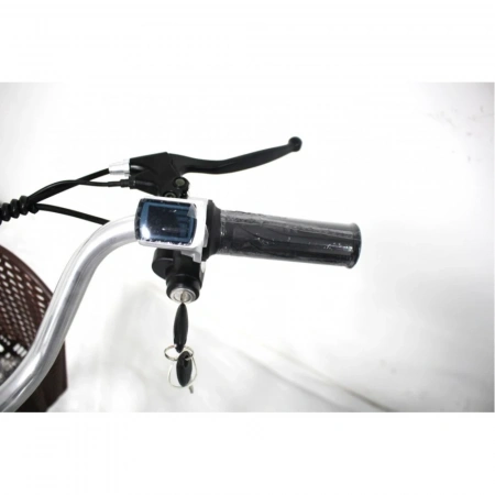 Электровелосипед GreenCamel Трайк-24 (R24 500W 48V 15Ah)