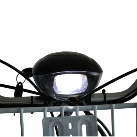 Электровелосипед GreenCamel Трайк-24 V2(R24 250W 48V 12Ah) Красный