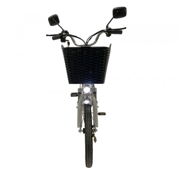 Электровелосипед Колхозник GreenCamel Транк 20 V8 PRO (R20 250W 60V10Ah) алюм, 2х подвес